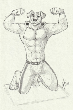 abs anthro bottomwear bulge claws clothing flexing_muscles floppy_ears front_view glistening glistening_eyes kneeling male male_anthro mouth_closed muscular muscular_anthro muscular_male navel pants pecs simple_background solo toe_claws topwear hufnaar canid canine canis domestic_dog mammal 2019 dated hi_res monochrome sketch