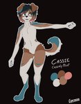 anthro digitigrade femboy floppy_ears fur male multicolored_body multicolored_fur multicolored_tail nude_anthro solo tail text espressothegoat cassie_(espressothegoat) border_collie canid canine canis collie domestic_dog herding_dog mammal pastoral_dog sheepdog hi_res