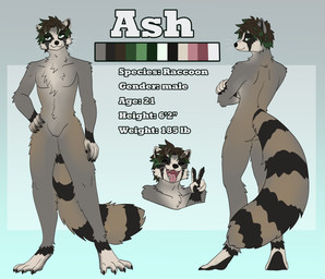 anthro brown_hair fur green_eyes green_highlights hair highlights_(coloring) male raccoon_mask solo tan_body tan_fur ketzel99 ash_(asheod) mammal procyonid raccoon absurd_res hi_res model_sheet