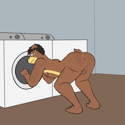 anthro anthrofied anus appliance arched_back arm_hair backsack balls belly_hair bent_over body_hair brown_hair butt butt_hair genitals hair hairy_balls hairy_body inside laundry_machine laundry_room leg_hair looking_at_viewer looking_back male nipples nude nude_anthro nude_male pecs presenting presenting_anus presenting_hindquarters puckered_anus rear_view seductive smile smiling_at_viewer solo suggestive suggestive_look suggestive_pose tail washing_machine fuze nintendo pokemon generation_2_pokemon pokemon_(species) ursaring 1:1 hi_res