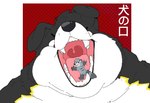 anthro arm_tuft big_cheeks black_body black_fur black_lips black_nose chubby_cheeks dewlap_(anatomy) double_chin duo extreme_size_difference facial_tuft fat_rolls fur fur_markings grey_body grey_fur head_tuft imminent_vore lips looking_at_viewer looking_down macro male male_pred male_prey markings mouth_shot obese obese_anthro obese_male on_tongue open_mouth oral_vore overweight overweight_anthro overweight_male red_background sharp_teeth shoulder_tuft simple_background size_difference smile teeth text tuft uvula vore white_body white_fur yellow_body yellow_fur technocaster maxxy_(maxxythecollie) border_collie canid canine canis collie domestic_dog herding_dog mammal pastoral_dog procyonid raccoon sheepdog hi_res japanese_text