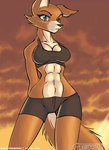 abs anthro big_breasts black_clothing bottomwear bra breasts brown_body brown_fur clothing cloud countershading female fur muscular muscular_female shirt shorts solo sports_bra tank_top tight_clothing topwear underwear conditional_dnp tailsrulz brutal_paws_of_fury team_fabulous_2 foxy_roxy canid canine fox mammal 2006 lol_comments meme