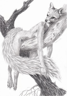 anthro branch ears_up female hair laid_down long_tail nude on_branch short_hair solo tail text dimasbka canid canine fox mammal absurd_res english_text hi_res