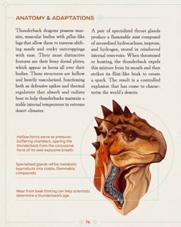 ambiguous_gender brown_eyes countershade_neck countershading cross_section feral head_spikes looking_at_viewer mouth_closed orange_body page_number pupils side_view simple_background solo species_information spikes spikes_(anatomy) tan_body tan_countershading text white_background christopher_stoll dragonatomy dinosaur prehistoric_species reptile scalie 2025 absurd_res biological_illustration english_text headshot_portrait hi_res portrait technical_illustration