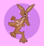 anthro balls brown_body brown_fur cheek_tuft ear_piercing ear_ring erection facial_tuft fur genitals humanoid_genitalia humanoid_penis male multicolored_body multicolored_fur nude open_mouth penis piercing purple_background ring_piercing simple_background solo tuft two_tone_body two_tone_fur wide_eyed xing1 lagomorph leporid mammal rabbit hi_res