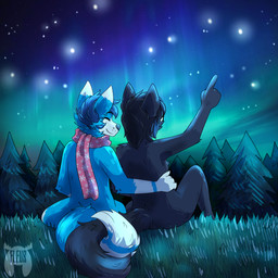 aurora_(phenomenon) black_body black_ears black_fur black_hair black_nose black_tail blue_body blue_ears blue_fur blue_hair blue_tail dipstick_tail duo fur gesture gloves_(marking) grass grey_body grey_fur grey_tail hair hand_gesture looking_away male male/male markings monotone_hair mostly_nude multicolored_body multicolored_ears multicolored_fur plant pointing pointing_up romantic romantic_couple scarf scarf_only tail tail_markings tree two_tone_body two_tone_ears two_tone_fur two_tone_tail white_body white_ears white_fur white_tail fleurfurr canid canine fox mammal 1:1 2019 watermark