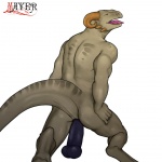 2012 anal anal_insertion anal_masturbation anal_penetration anthro argonian dildo dildo_sitting disembodied_penis horn insertion lizard male masturbation mayer0 penetration penis reptile scalie sex_toy solo the_elder_scrolls the_elder_scrolls_v:_skyrim tongue video_games
Rating: Explicit
Score: 14
User: mayer_0
Date: May 28, 2012