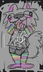 alternate_rainbow_pride_colors anthro bulge clothed clothing collar fur legwear lgbt_pride male multicolored_clothing multicolored_legwear phone_drawing pride_colors rainbow_clothing rainbow_legwear rainbow_pride_colors screencap scribbles smile solo tongue tongue_out white_body white_fur <vampirefuuucker> scribbles_(character) canid canine canis hybrid mammal wolfdog