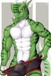 5_fingers abs anthro biceps black_penis boxer_briefs brown_eyes bulge clothed clothing clothing_pull countershade_torso countershading fingers front_view genitals green_body green_scales green_stripes green_tail horn long_tail looking_at_viewer male markings multicolored_body multicolored_scales multicolored_tail muscular muscular_anthro muscular_male navel notched_ear pecs penis penis_base scales simple_background smile solo standing striped_body striped_markings striped_scales striped_tail stripes tail tail_markings teeth topless underwear underwear_pull undressing white_body white_countershading white_horn white_scales white_tail soliscanis mythology skaar dragon lizard mythological_creature mythological_scalie reptile scalie 2016 digital_media_(artwork) portrait signature three-quarter_portrait