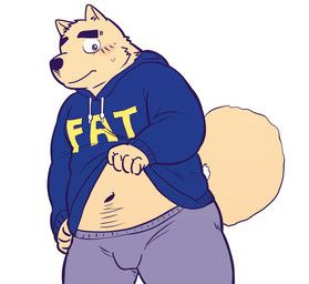 anthro black_nose blush bottomwear bulge clothing hoodie humanoid_hands kemono male navel overweight overweight_male pants simple_background solo text text_on_clothing text_on_hoodie text_on_topwear topwear white_background kick_(artist) fat_hoodie meme_clothing canid canine canis domestic_dog mammal 2015 meme