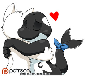 accessory anthro black_body black_tail closed_smile duo eyes_closed fur furgonomics heart_symbol hug male mouth_closed nude patreon_logo simple_background smile tail tail_accessory tailband text white_background white_body white_fur young young_anthro young_male pandapaco patreon aquatic canid canine cetacean dolphin mammal oceanic_dolphin orca toothed_whale url