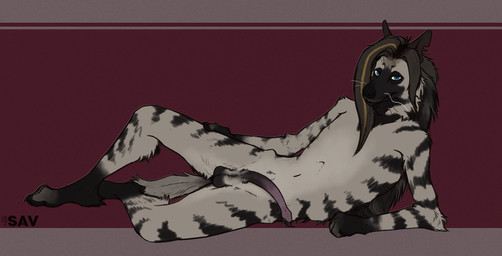 anatomically_correct animal_genitalia animal_penis anthro balls erection genitals gloves_(marking) hair highlights_(coloring) hyaenid_penis leg_markings looking_at_viewer lying male markings notched_ear on_side penis skinny socks_(marking) solo whiskers strana_(artist) strana_(character) hyena mammal striped_hyena 2026 hi_res
