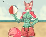 aircraft airplane anthro ball beach clothed clothing food front_view fruit fur holding_object looking_at_viewer male melon muscular muscular_anthro muscular_male plant public seaside shirtless shirtless_anthro shirtless_male smile smiling_at_viewer solo swimwear vehicle watermelon watermelon_pattern watermelon_print watermelon_seed watermelon_skin spookitten amaverse pepene canid canine mammal 5:4 absurd_res hi_res