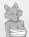 anthro bandage bandage_on_breasts bedroom_eyes blep cheek_tuft eyebrows eyelashes facial_tuft female grey_background inner_ear_fluff jewelry looking_at_viewer narrowed_eyes necklace seductive simple_background solo tongue tongue_out tuft schmutzo protasia canid canine canis mammal wolf 2022 greyscale hi_res monochrome