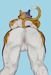 anthro anus ass_up butt butt_focus genitals knocked_down male male_presenting nude nude_anthro nude_male simple_background solo canis_anus epic_games fortnite meowscles calico_cat domestic_cat felid feline felis mammal sketch