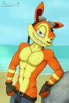 5_fingers abs anthro athletic beach fingers male outside seaside solo sandblastcoyote jak_and_daxter naughty_dog sony_corporation sony_interactive_entertainment daxter mammal mustelid ottsel 2:3