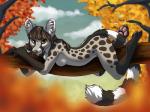 anthro autumn biped breasts brown_eyes brown_hair claws cloud featureless_breasts female hair inner_ear_fluff leaf long_tail looking_at_viewer lying nude outside pawpads paws plant side_boob sky solo spots tail tree tuft werella genet mammal viverrid 4:3