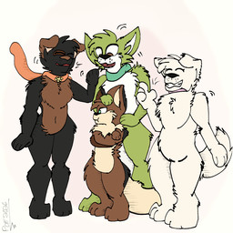 anthro female group male male/female standing teasing piperis caroline_the_mutt jaden_the_jackal pepper_the_chihuahua salt_c_lupis canid canine canis chihuahua domestic_dog jackal maltese mammal toy_dog 1:1 hi_res