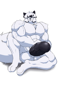 anthro arm_tuft balls big_balls big_muscles big_penis biped black_eyes black_hair clothing elbow_tuft erection fluffy fluffy_tail fur genitals growth hair handwear huge_balls huge_muscles huge_penis humanoid_genitalia humanoid_penis male muscle_growth muscular muscular_male pecs penis simple_background smile tail tuft variations vein veiny_muscles veiny_penis white_body white_hair umbreoncloud ivyory felid feline mammal absurd_res hi_res sequence
