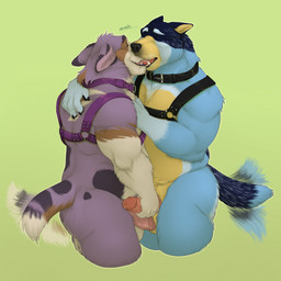 anthro balls duo erection eyes_closed french_kissing genitals handjob harness humanoid_genitalia humanoid_penis kissing male male/male male_anthro mature_male musclegut muscular muscular_anthro muscular_male nude nude_anthro nude_male overweight overweight_anthro overweight_male penile penis pubes sex simple_background standing tail tail_motion tailwag teeth tongue chubchow bluey_(series) bandit_heeler rory_(roantiger) australian_cattle_dog canid canine canis cattledog domestic_dog herding_dog mammal pastoral_dog welsh_corgi 1:1 2025 absurd_res hi_res