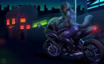 amber_eyes anthro black_hair city clothed clothing female grin hair looking_at_viewer motorcycle neon_lights night notched_ear smile solo vehicle wyla kawasaki wyla_(character) canid canine canis mammal wolf 16:10 2014 digital_media_(artwork) hi_res shaded widescreen