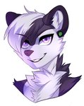 anthro black_body black_eyebrows black_fur black_hair cheek_tuft chest_tuft ear_piercing eyebrow_through_hair eyebrows facial_tuft fur grey_nose grin hair inner_ear_fluff looking_at_viewer male multicolored_body multicolored_fur multicolored_hair piercing purple_eyes short_hair simple_background smile solo teeth translucent translucent_hair tuft two_tone_body two_tone_fur two_tone_hair white_background white_body white_fur white_hair drakkin ayken mammal mephitid skunk 2019 bust_portrait digital_media_(artwork) icon portrait