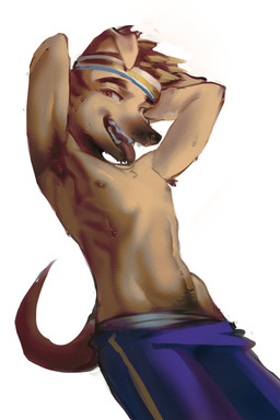 4zltrysbd accessory anthro armpit_hair bodily_fluids body_hair bottomwear clothing happy_trail headband male nipples pants pubes ribs simple_background solo sweat tongue tongue_out underwear white_background raww_(forgotten_island) canid canine mammal werecanid werecanine werecreature weredog armpit absurd_res hi_res