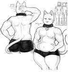 anthro athletic_wear bottomwear bulge butt chart clothing collar confusion dialogue gym_bottomwear gym_shorts hand_on_hip height_chart male shirtless shorts slightly_chubby solo tail text whiskers pandunes myo_(pandunes) domestic_cat felid feline felis mammal english_text hi_res monochrome