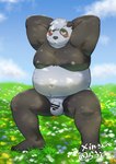 anthro balls belly big_belly black_nose blush bodily_fluids cloud detailed_background flaccid flower genitals kemono male moobs navel nipples outside overweight overweight_male penis plant solo sweat white_body maron2475 bear giant_panda mammal 2024 absurd_res censored hi_res