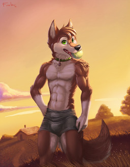 abs anthro ball biped black_nose bottomwear brown_body brown_fur bulge clothed clothing cloud collar detailed_background facial_scar fur grass green_eyes holding_ball holding_object looking_at_viewer male mouth_hold multicolored_body multicolored_fur muscular muscular_anthro muscular_male navel nipples object_in_mouth outside pants plant scar sky solo standing sunset teeth tennis_ball tennis_ball_in_mouth topless tree two_tone_body two_tone_fur underwear white_body white_fur foxlau mutt_(wagnermutt) canid canine canis domestic_dog mammal 2016 hi_res