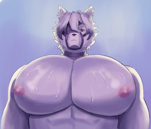 anthro big_breasts big_muscles big_pecs bodily_fluids breasts huge_breasts huge_muscles huge_pecs hyper hyper_breasts hyper_muscles hyper_pecs male muscular muscular_male nipples pecs sleeping solo sound_effects sweat sweaty_breasts sweaty_pecs vowelless vowelless_sound_effect zzz mariamame mihoyo zenless_zone_zero von_lycaon canid canine canis mammal thiren wolf hi_res