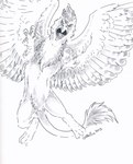 avian_feet beak feathered_wings feathers feet female feral flying fur paws solo spread_wings tail talons toes wings heather_bruton mythology serilde avian gryphon mythological_avian mythological_creature absurd_res hi_res