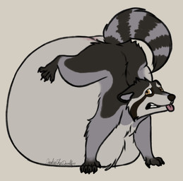 4_toes 5_fingers anthro black_claws black_nose brown_eyes claws feet fingers fur grey_background grey_body grey_fur hyper hyper_inflation inflation male multicolored_body multicolored_fur nervous pink_tongue simple_background solo tail toes tongue tongue_out jackiethedoodler pickit_(alfyn) mammal procyonid raccoon digital_drawing_(artwork) digital_media_(artwork) english_description hi_res