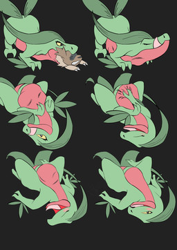 2_fingers abdominal_bulge after_vore ambiguous_gender ambiguous_prey anthro anthro_pred belly big_belly blush claws death digestion dominant dominant_female duo eyelashes eyes_closed fatal_vore female female_pred feral feral_prey finger_claws fingers green_claws half-closed_eyes hand_on_belly holding_belly leaf leaf_tail licking licking_lips licking_own_lips lying narrowed_eyes neck_bulge nude open_mouth open_smile oral_vore pink_tongue plant plant_pred self_lick semi-anthro size_difference smile soft_vore swallowing tail tongue tongue_out vore weight_gain yellow_eyes yellow_sclera poisonsneksoffie nintendo pokemon elemental_creature flora_fauna generation_3_pokemon grovyle pokemon_(species) scalie zigzagoon 2020 absurd_res digital_media_(artwork) hi_res multiple_scenes