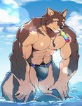 abs anthro brown_body brown_fur bulge clothing food fur jewelry male muscular muscular_anthro muscular_male necklace nipples partially_submerged pecs popsicle solo speedo swimwear water p2yong lifewonders live_a_hero pubraseer canid canine canis domestic_dog mammal hi_res