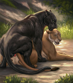 animal_genitalia animal_penis animal_vulva balls black_body black_fur duo eyes_closed fangs feline_genitalia feline_penis feline_vulva female female_penetrated feral feral_on_feral feral_penetrated feral_penetrating feral_penetrating_feral from_behind_position fur genitals interspecies male male/female male_penetrating male_penetrating_female markings melanistic mounting muscular muscular_female muscular_feral muscular_male open_mouth outside penetration penis realistic rear_view sex spots spotted_body spotted_fur tan_body tan_fur teeth tongue vaginal vaginal_penetration vulva whiskers reallynxgirl disney the_jungle_book the_jungle_book_(2016) the_lion_king the_lion_king_(2019) bagheera_(jungle_book) sarafina_(the_lion_king) felid leopard lion mammal pantherine 2022