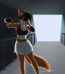 abs anthro blood bodily_fluids bottomwear bra breasts cleavage clothed clothing female hand_wraps medium_breasts muscular muscular_female shorts solo sports_bra tears underwear wraps kathy-lu rosaline_(bronx23) canid canine fox mammal red_fox true_fox