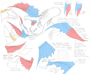 ambiguous_feral ambiguous_gender duo feathered_wings feathers feral flying information simple_background spread_wings tail tail_feathers text white_background wings jejejunum european_mythology greek_mythology mythology avian harpy mythological_avian mythological_creature nethermare 2026 concept_art english_text hi_res