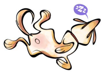 ambiguous_gender collar feral lying navel on_back organs presenting simple_background sleeping snoring solo sound_effects stomach vowelless vowelless_sound_effect white_background zzz saintlycharles canid canine canis domestic_dog mammal 2021 hi_res