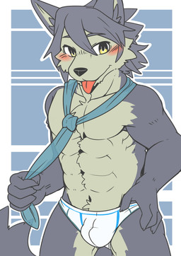 abs anthro blue_necktie blush briefs bulge clothing fur grey_body grey_fur half_naked inviting_viewer male multicolored_body multicolored_fur muscular muscular_anthro muscular_male necktie solo teasing tongue tongue_out two_tone_body two_tone_fur underwear white_briefs white_clothing white_underwear saku1saya morenatsu kouya_aotsuki canid canine canis domestic_dog husky mammal nordic_sled_dog spitz absurd_res hi_res