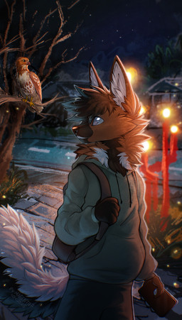 5_fingers anthro biped bottomwear brown_body brown_fur brown_hair clothed clothed_anthro clothed_male clothing fingers front_view fully_clothed fully_clothed_anthro fully_clothed_male fur hair male night outside sky solo standing star tail topwear magenta7 canid canine mammal 2025 digital_drawing_(artwork) digital_media_(artwork) hi_res