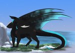 black_body black_horn black_scales blue_claws claws female feral grass horn membrane_(anatomy) membranous_wings plant rock scales sea snow solo water wings liluay mythology vaela_(redwinterskies) dragon mythological_creature mythological_scalie scalie hi_res