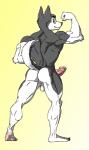 anthro athletic back_muscles backsack balls barefoot biceps biped butt claws erection feet flexing fur genitals grey_body grey_fur grey_nose humanoid_genitalia humanoid_penis looking_at_viewer looking_back male muscular muscular_anthro muscular_male nude penis pose rear_view smile solo toe_claws vein white_body white_fur tithinian diego_(tithinian) canid canine canis domestic_dog husky mammal nordic_sled_dog spitz 2014 hi_res