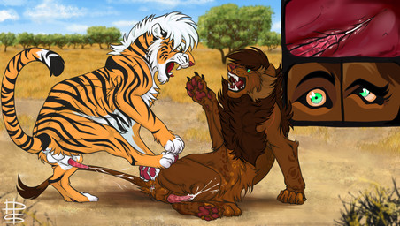 anal anal_penetration angry bodily_fluids claws cum cum_in_ass cum_inside cum_while_penetrated duo feral feral_on_feral feral_penetrated feral_penetrating feral_penetrating_feral genital_fluids male male/male male_penetrated male_penetrating male_penetrating_male mane penetration savanna sex snarling teeth_showing disperso khai_the_lion felid lion mammal pantherine tiger hi_res