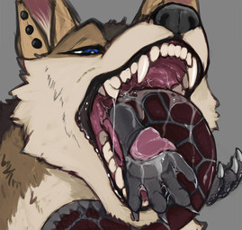 almost_fully_inside ambiguous_gender black_lips black_nose blue_eyes bodily_fluids brown_body brown_fur detailed_mouth duo ear_piercing ear_stud fangs feral fur grey_background grey_body grey_scales head_first in_mouth in_throat lips mouth_shot narrowed_eyes open_mouth oral_vore partially_inside piercing red_tail saliva saliva_on_foot saliva_on_tongue saliva_string same_size_vore scales simple_background stud_piercing swallowing tail tan_body tan_fur teeth unsigned vore acidic canid canine canis mammal wolf