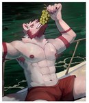 abs anthro barazoku beard biceps big_muscles biped black_eyes boat border bottomwear clothed clothing eating facial_hair food fruit fur grape looking_at_viewer male muscular muscular_anthro muscular_male on_boat pecs plant red_beard red_bottomwear red_clothing red_facial_hair red_shorts shirtless_anthro shirtless_male shorts shorts_only solo topless vehicle watercraft white_body white_border white_fur ellixonn canid canine canis mammal wolf 2024 hi_res