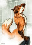 anthro bathing bathroom butt chest_fur chest_tuft curled_tail dipstick_tail ears_back eyes_closed fur male manly markings muscular muscular_anthro muscular_male neck_tuft nude pivoted_ears pose raised_tail shower showering solo tail tail_markings tasteful_nudity text tile tile_wall touching_face towel tuft wall_(structure) water wet wet_body wet_fur whiskers biggoodwolf doppelfoxx jakkals_van_der_bergh_(doppelfoxx) absurd_res hi_res url