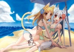 accessory beach beach_umbrella bikini blonde_hair blue_sky breasts cat_tail clothed clothing cloud detailed_background duo fangs female flower flower_in_hair fox_tail grey_hair hair hair_accessory long_hair looking_at_viewer off_shoulder open_mouth orange_eyes outside parasol plant sand sea seaside sitting skimpy sky smile swimwear teeth tight_clothing two-piece_swimsuit under_boob water snowfly3141 animal_humanoid canid canid_humanoid canine canine_humanoid cat_humanoid felid felid_humanoid feline feline_humanoid fox fox_humanoid humanoid mammal mammal_humanoid