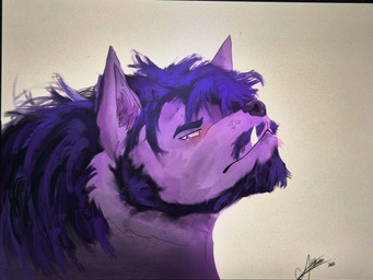 anthro beard bedroom_eyes blush facial_hair fangs fur hair hairy long_hair male messy_hair mustache narrowed_eyes pink_body pink_fur purple_body purple_fur seductive solo teeth tusks althaea canid canine canis mammal wolf absurd_res hi_res
