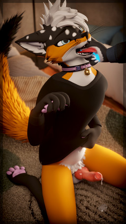 animal_genitalia animal_penis anthro bell bell_collar bodily_fluids canine_genitalia canine_penis collar cum finger_in_mouth genital_fluids genitals kneeling leaking_cum male open_mouth penis presenting solo tongue tongue_out locoroo carder_(carderfox) lucky_(locoroo) canid canine fox kit_fox mammal rexouium true_fox 3d_(artwork) 4k 9:16 absurd_res digital_media_(artwork) hi_res